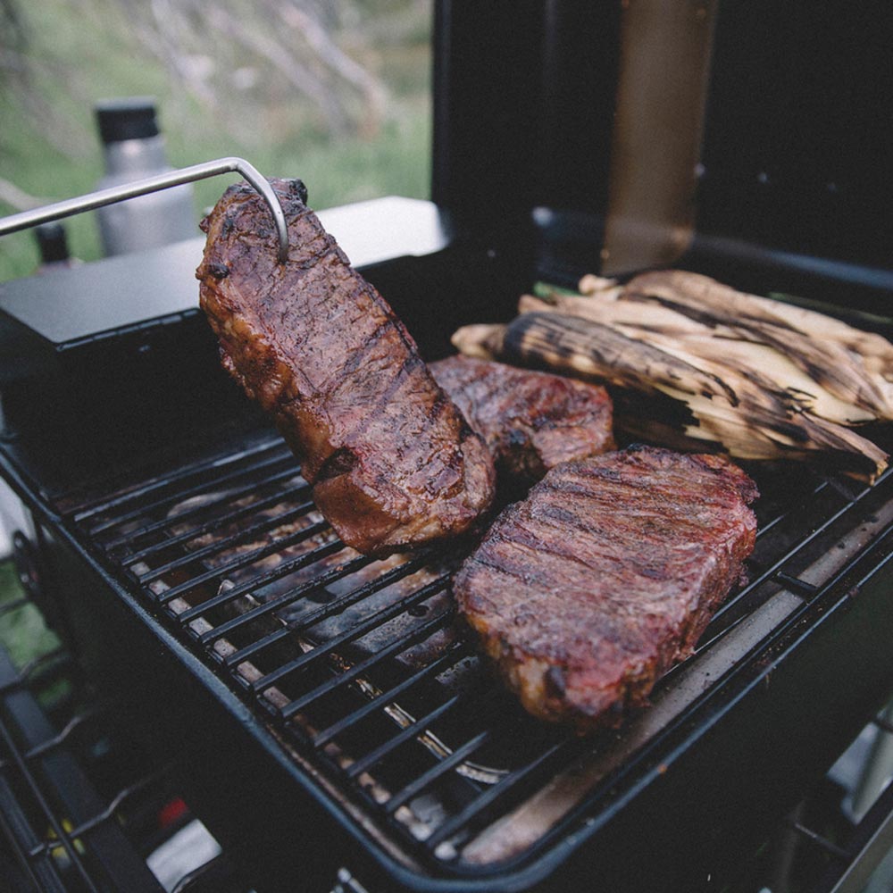 Traeger Ranger Portable Wood Pellet Grill Smoker